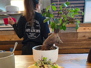 Restaurant review photo