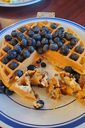 Restaurant review photo