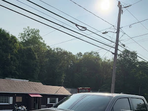 Restaurant review photo
