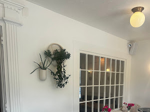 Restaurant review photo