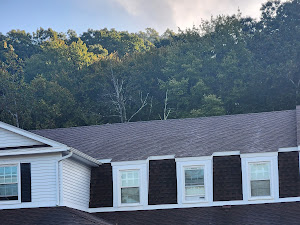 Restaurant review photo