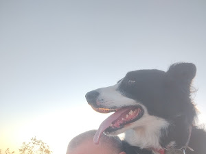 Restaurant review photo