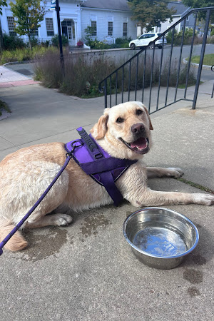 Restaurant review photo