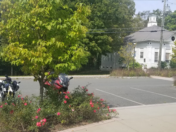 Restaurant review photo