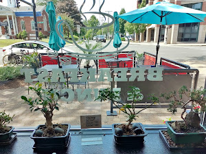 Restaurant review photo