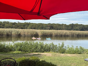 Restaurant review photo