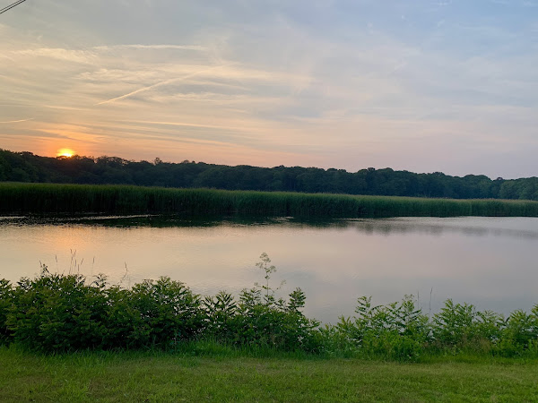 Restaurant review photo