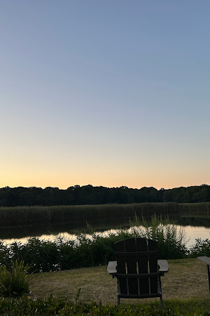 Restaurant review photo