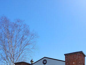 Restaurant review photo